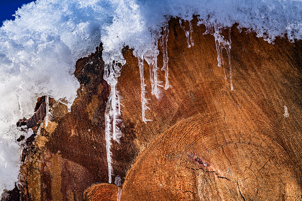 Verschneiter Baumstamm mit sichtbaren Jahresringen im Winterwald – Symbol für Zeit, Wachstum, Beständigkeit und den Jahreswechsel.
